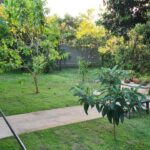 jardim