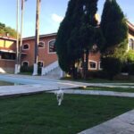 parte-do-gramado-com-arvores-em-frente-a-fachada-da-casa
